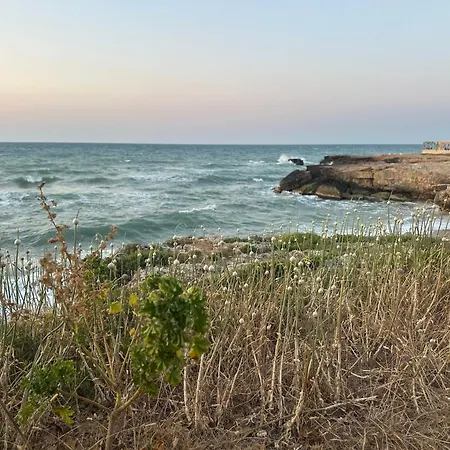 Villa Antonia sul mare con piscina Torre a mare (Bari)-3